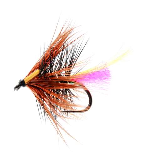 Caledonia Flies Lady Kate Hackled Wet #12 Fishing Fly