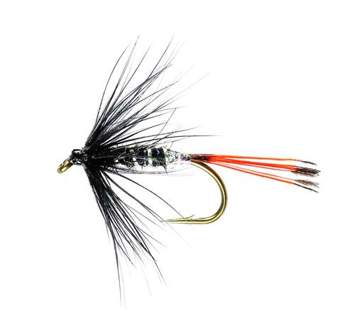 Caledonia Flies Uv Pennell Hackled Wet #12 Fishing Fly