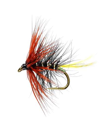Caledonia Flies Uv Kate Hackled Wet #10 Fishing Fly