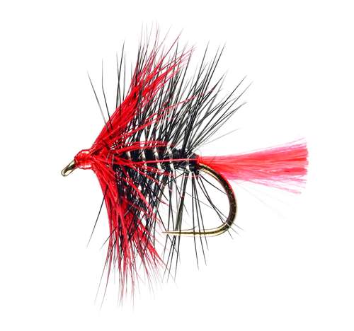 Caledonia Flies Red Zulu Hackled Wet #12 Fishing Fly