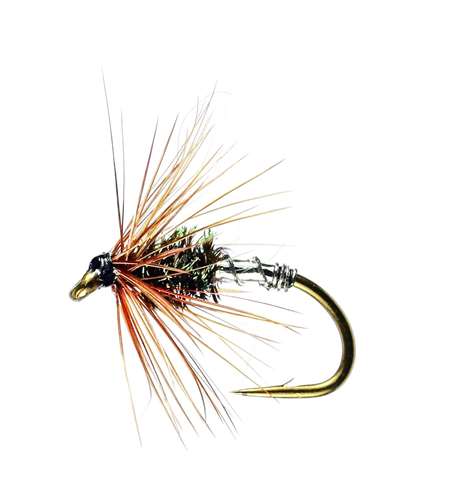 Caledonia Flies Kill Devil Spider Hackled Wet #12 Fishing Fly