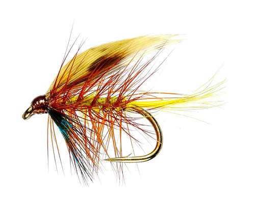 Caledonia Flies Invicta Winged Wet #10 Fishing Fly