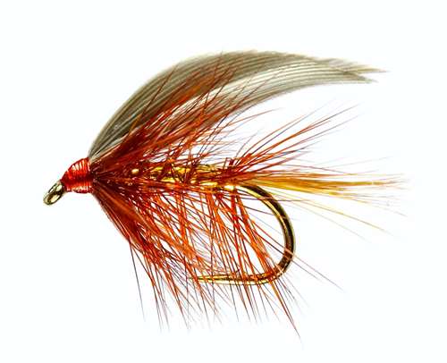 Caledonia Flies Wickhams Fancy Winged Wet #12 Fishing Fly