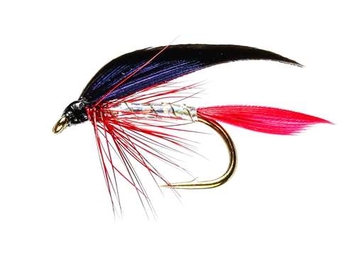 Caledonia Flies Bloody Butcher Winged Wet #12 Fishing Fly