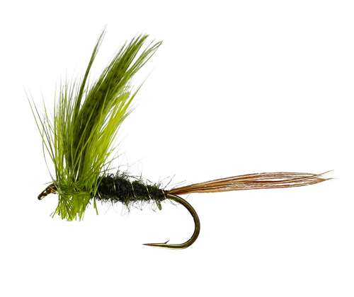 Caledonia Flies Olive Drake Mayfly Wet #10 Fishing Fly