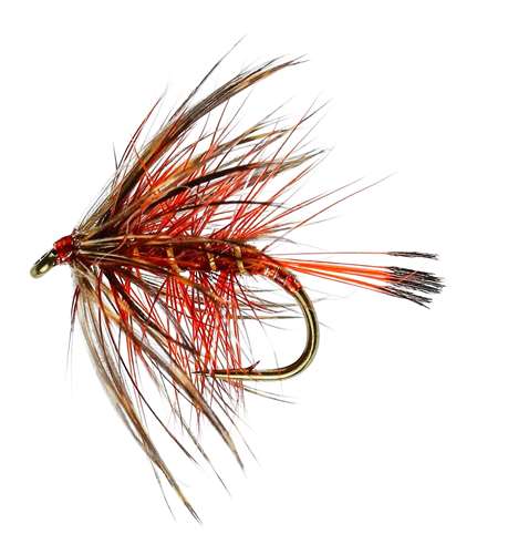 Caledonia Flies Bumble Fiery Brown Wet #12 Fishing Fly