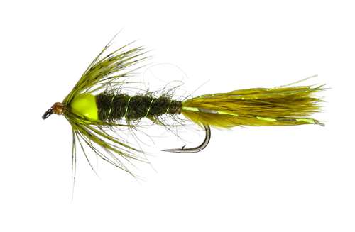 Caledonia Flies Green Eyes Damsel #10 Fishing Fly Barbed Nymph Fly