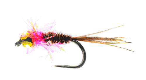 Caledonia Flies Pink Rapid Pheasant Tail Barbless #14 Fishing Fly