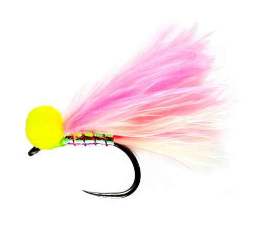 Caledonia Flies Candy Man Booby Barbless #14 Fishing Fly