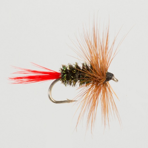 The Essential Fly Brown Hackle Peacock Fishing Fly