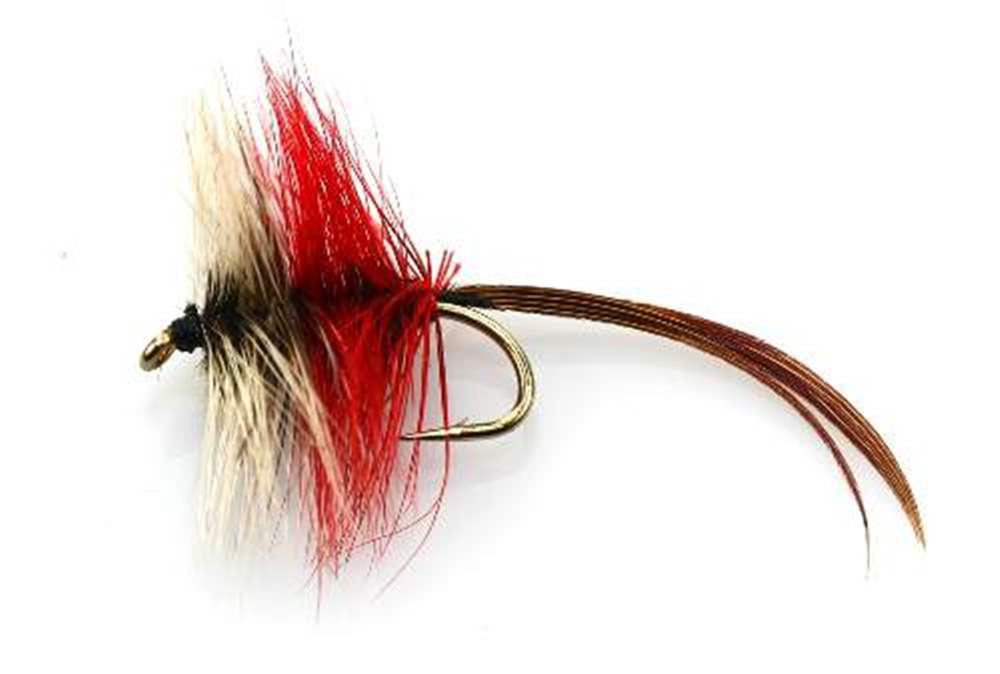 The Essential Fly Badger And Red Fishing Fly