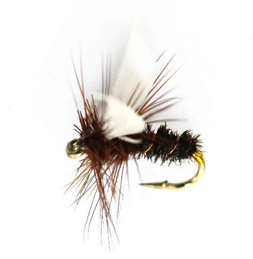 The Essential Fly Coachman Fishing Fly