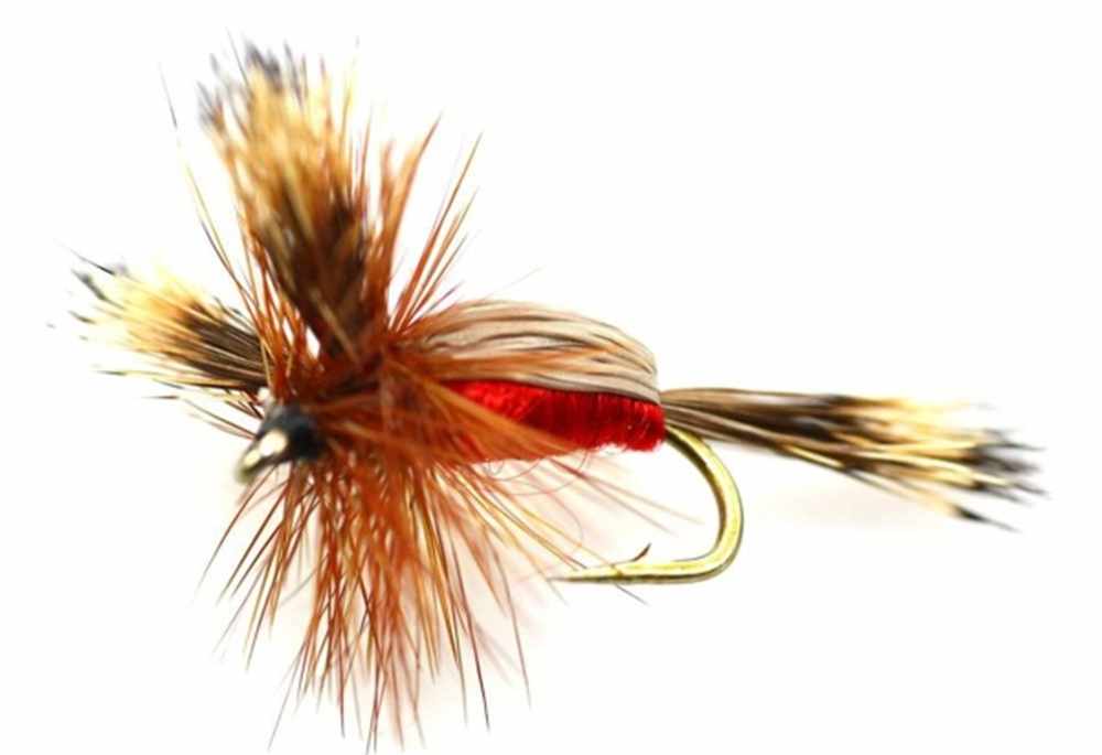 Humpy Red