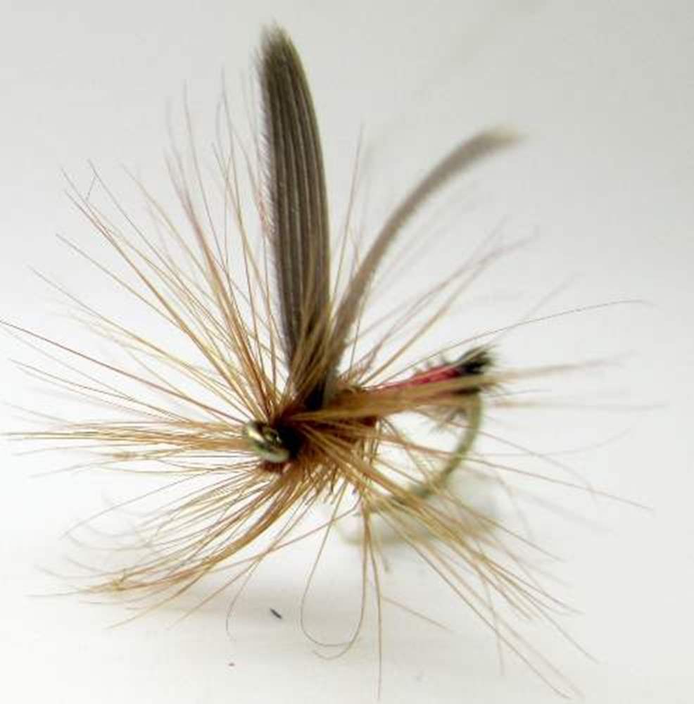 The Essential Fly Red Ant Fishing Fly