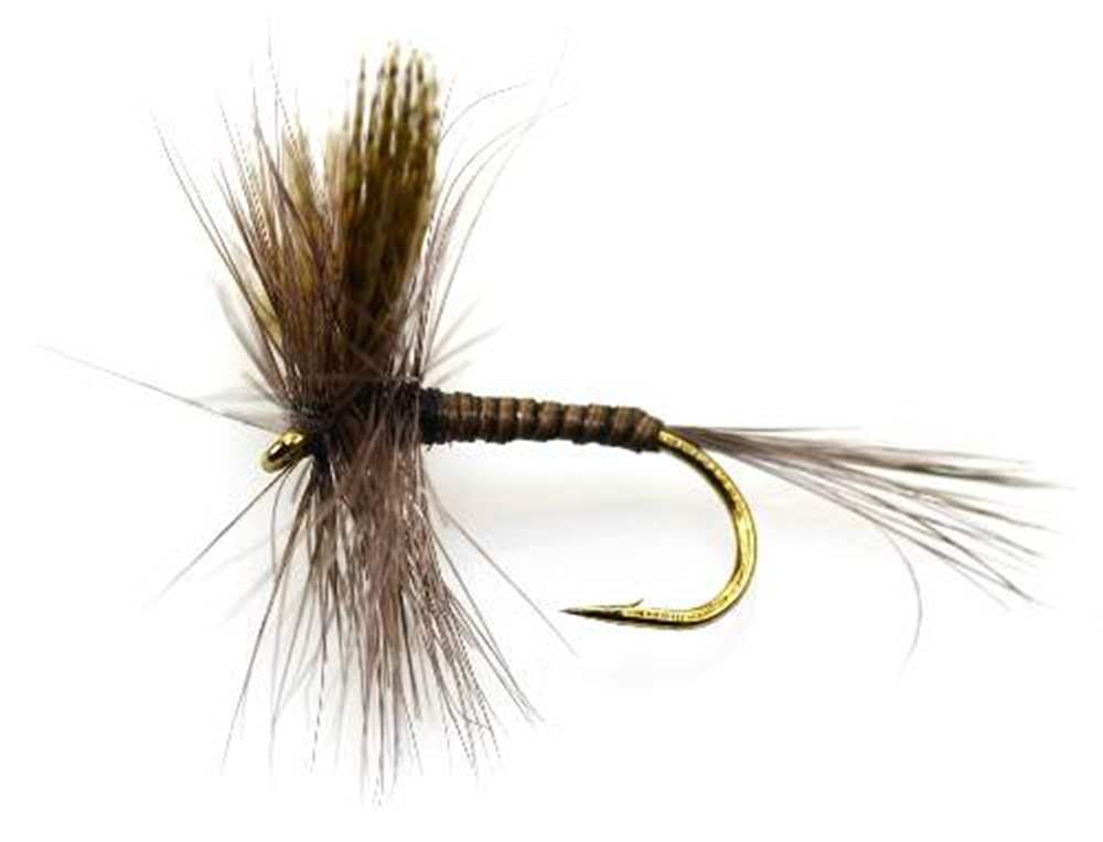 The Essential Fly Quill Gordon Fishing Fly