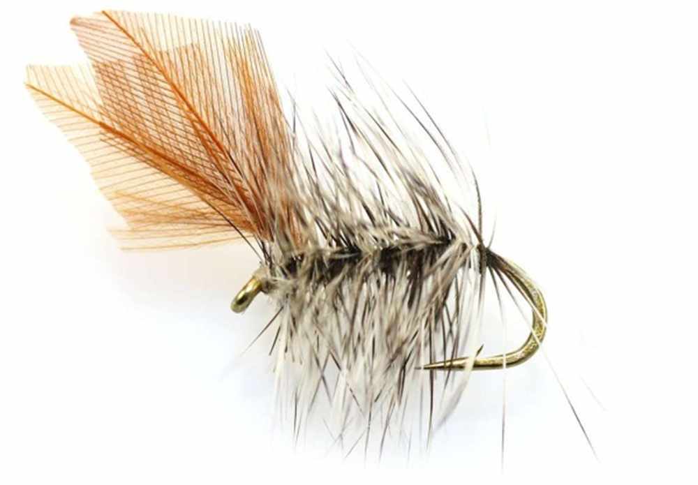 Shadow Mayfly