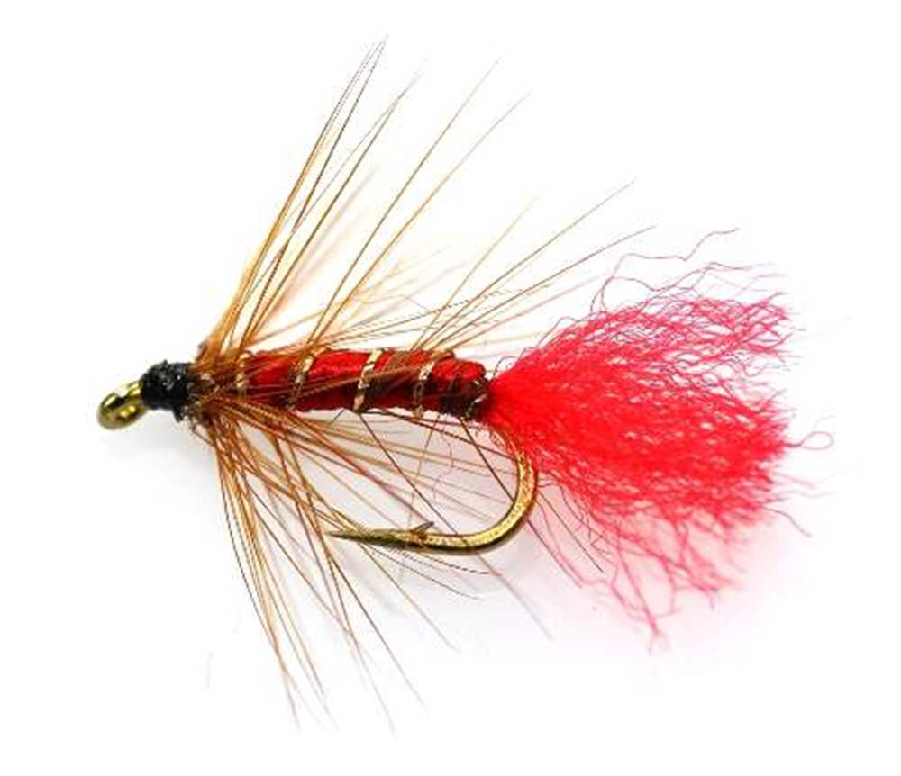 The Essential Fly Soldier Palmer Fishing Fly
