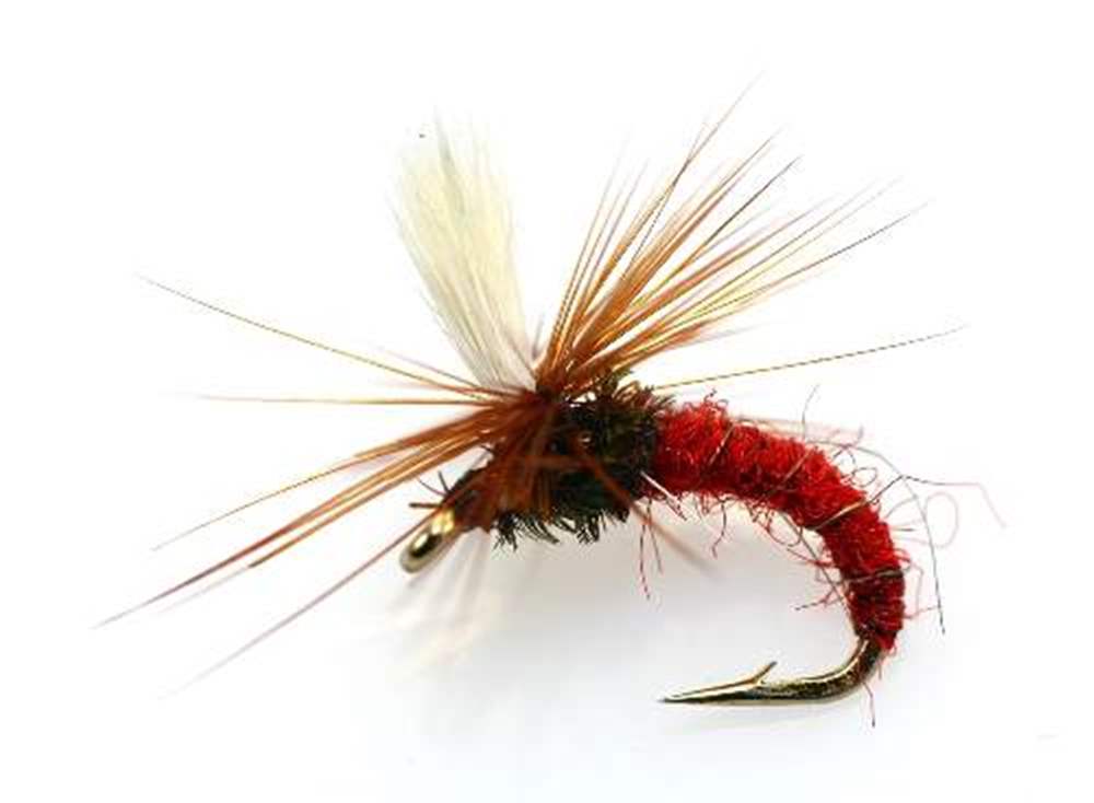 The Essential Fly Terrys Emerger Parachute Orange Fishing Fly