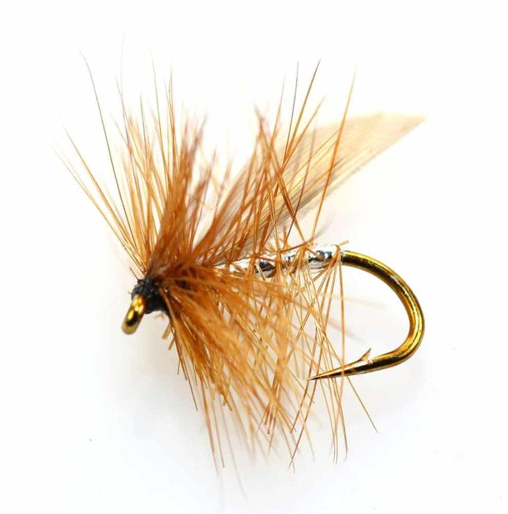 Silver Sedge