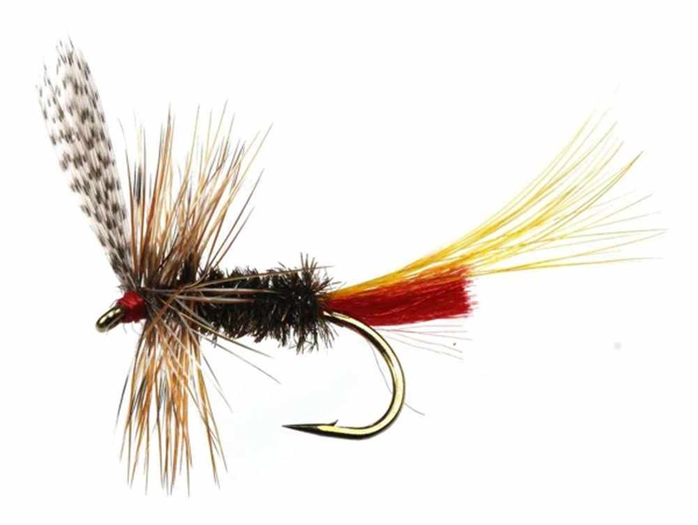 Sweet William - Nidderdale A.C. Mayfly