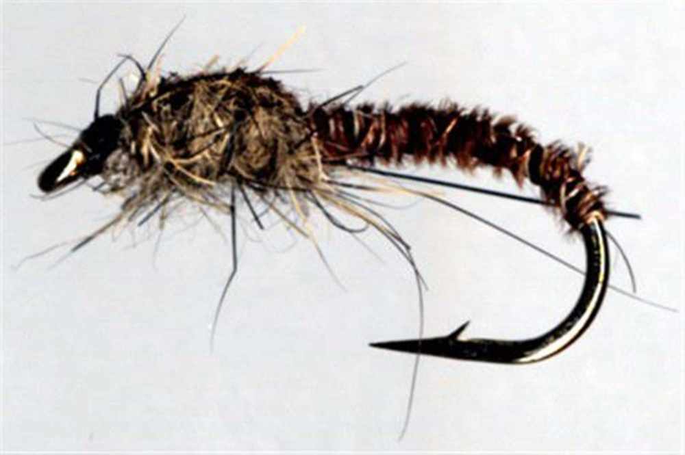 Cove's Pheasant Tail