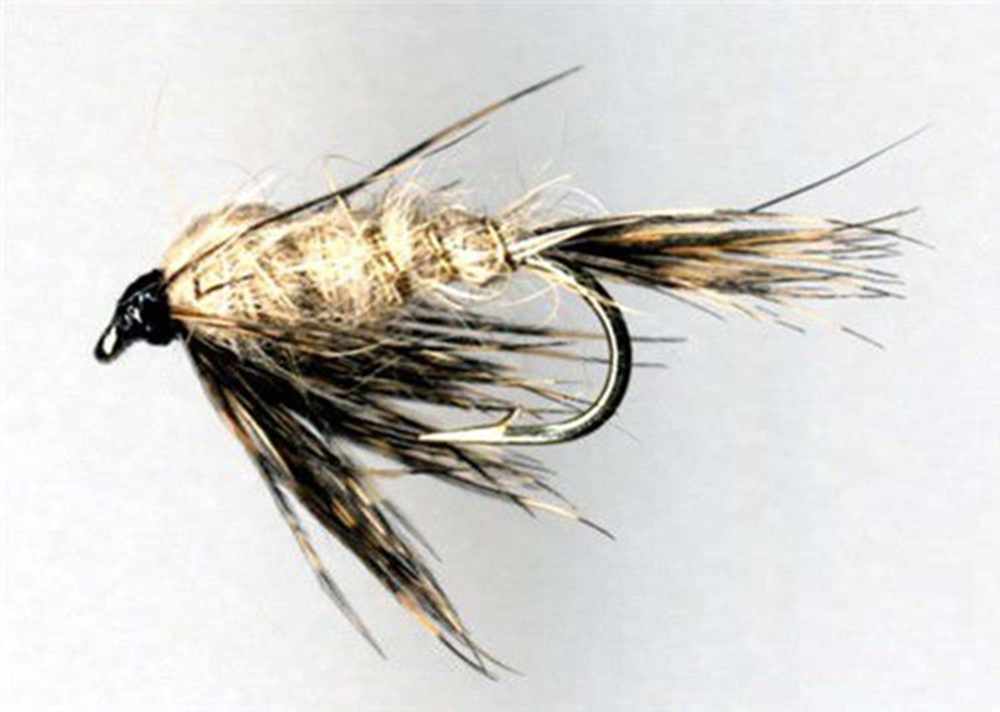 March Brown nymph