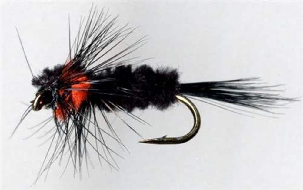 The Essential Fly Montana Orange Fishing Fly