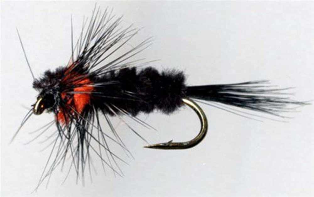 Montana Orange