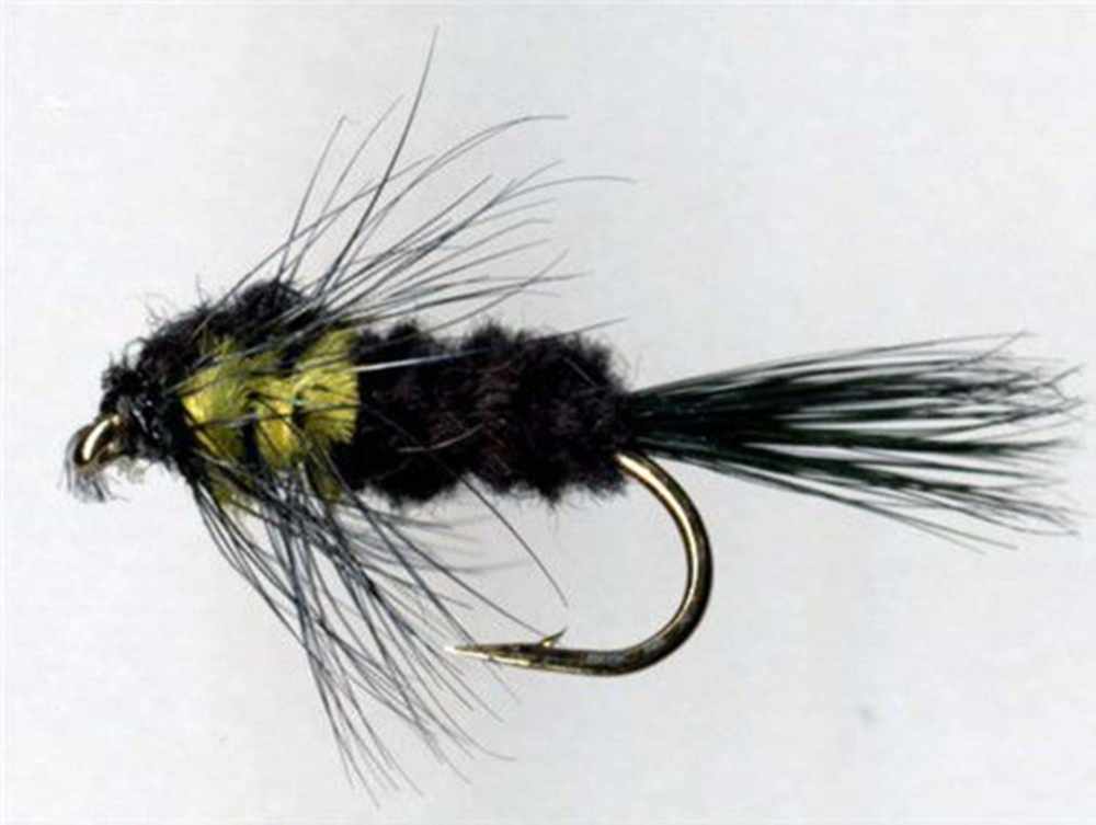 Montana Yellow