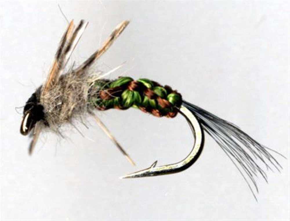 Olive / Brown Polish Woven Nymphs