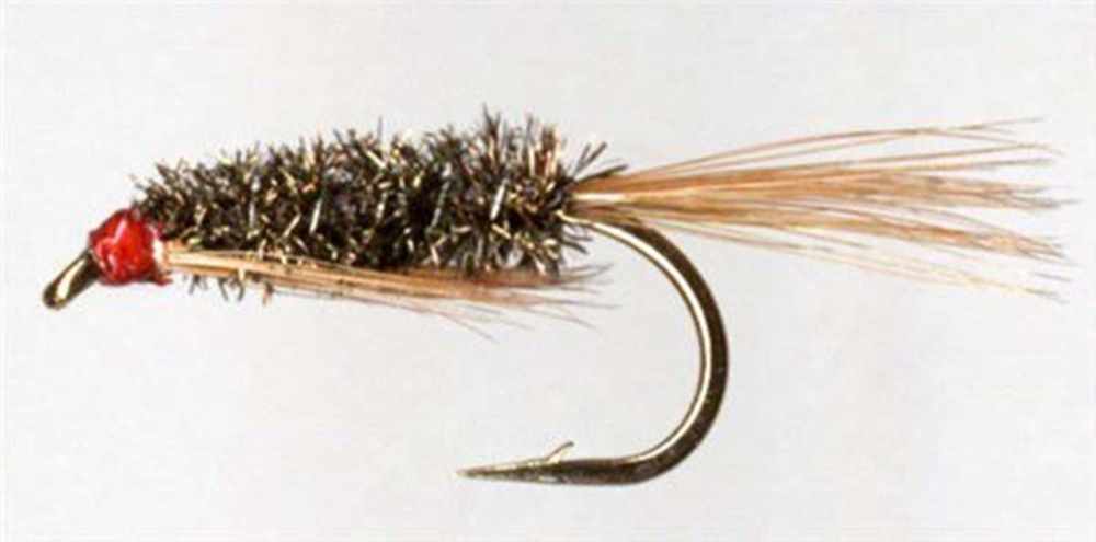 Original Natural Diawl Bach