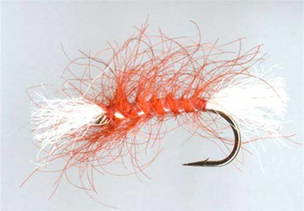 Shipman's Buzzer Orange