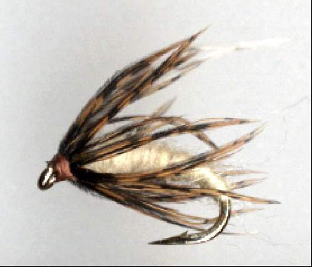 The Essential Fly Cove Caddis Nymph Fishing Fly