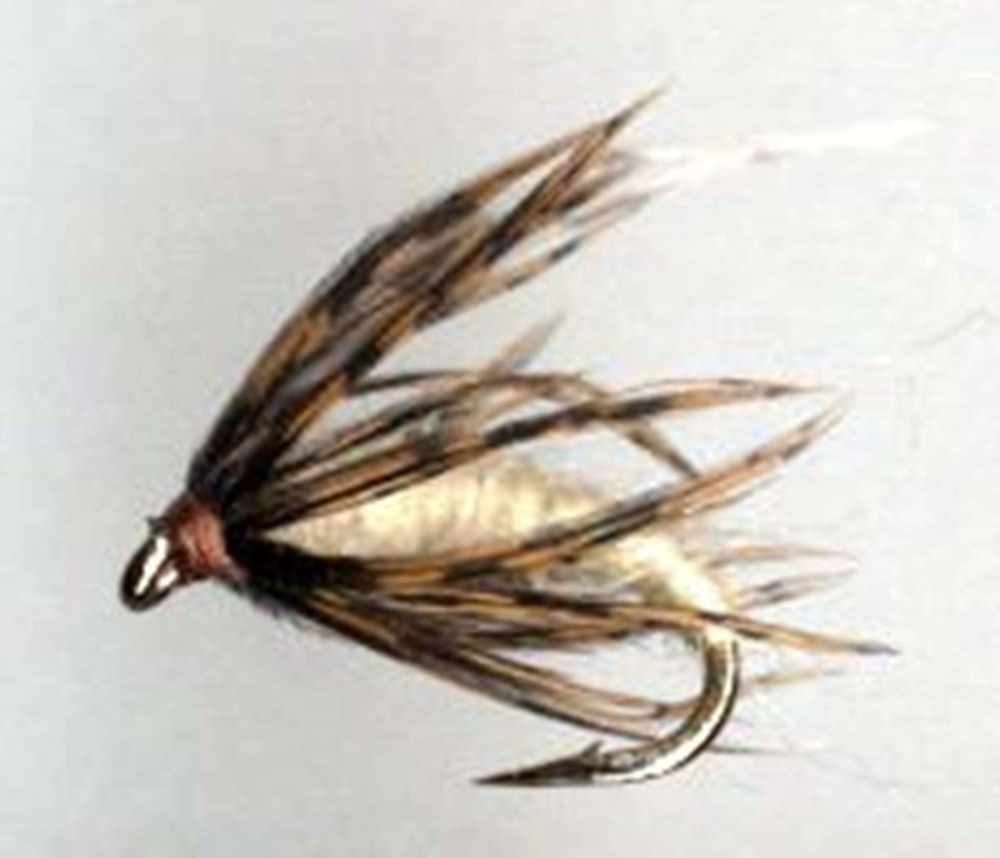 Cove Caddis Nymph