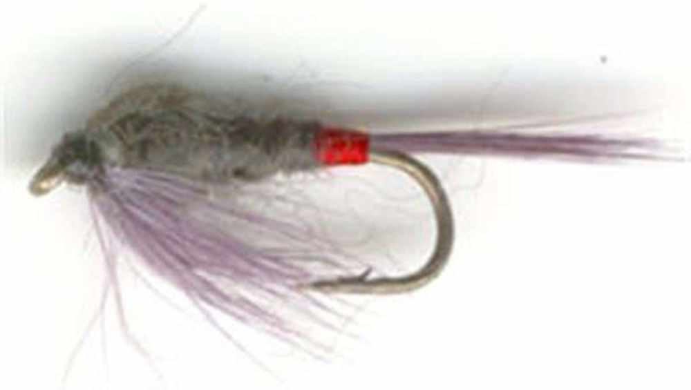 Iron Blue Dun Nymph