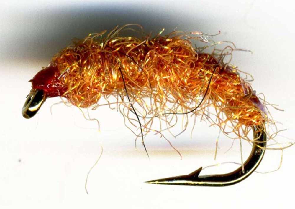 Lite Brite Mating Shrimp
