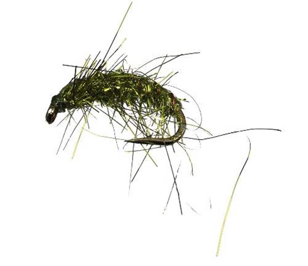 The Essential Fly Lite Brite Olive Shrimp Fishing Fly