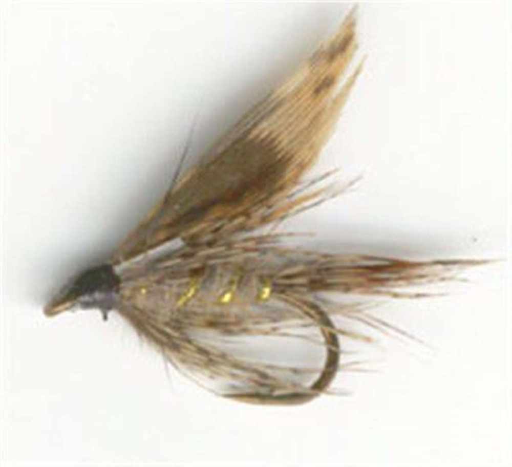 March Brown