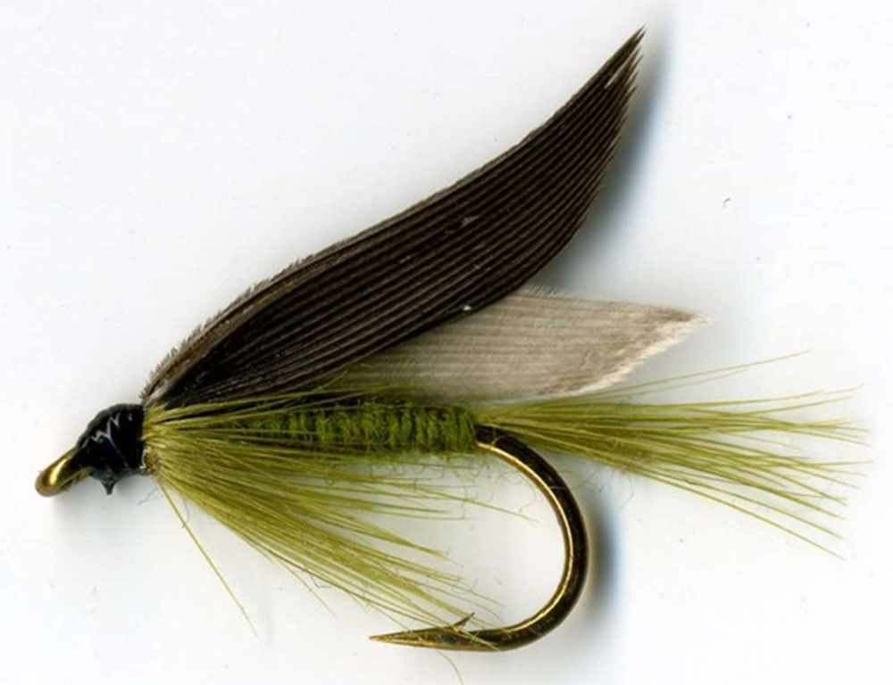 Olive Dun