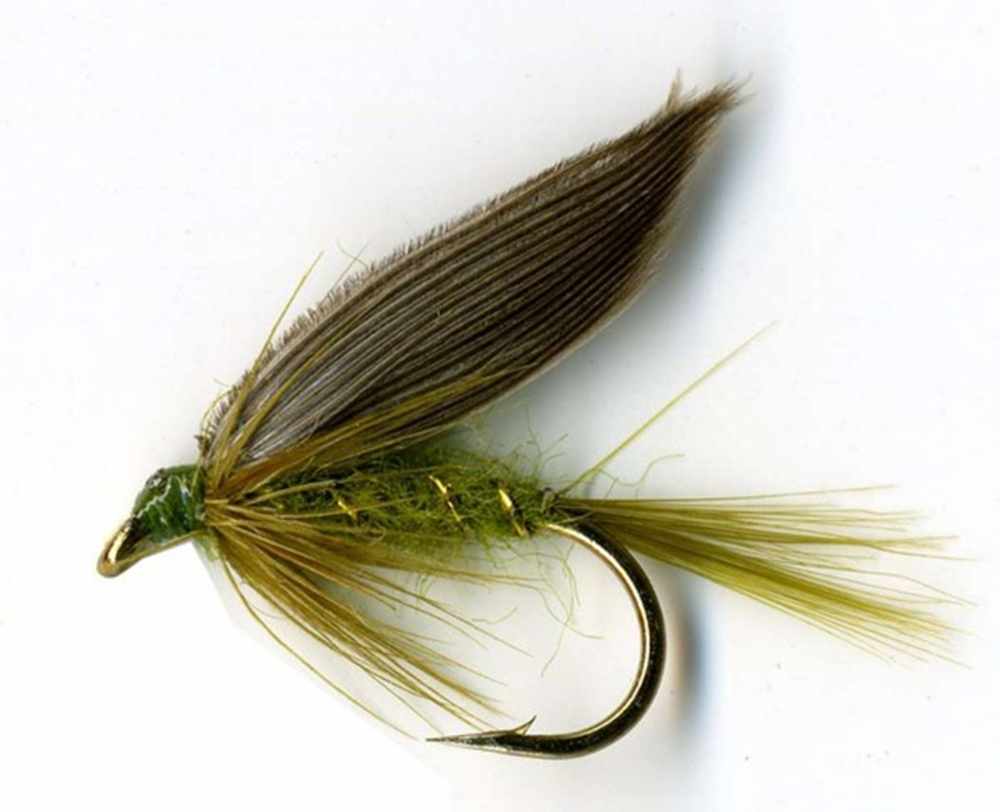 Rough Olive