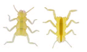 Hemingway's Evolution Stone Fly Thorax & Legs Medium Clear Yellow Fly Tying Materials