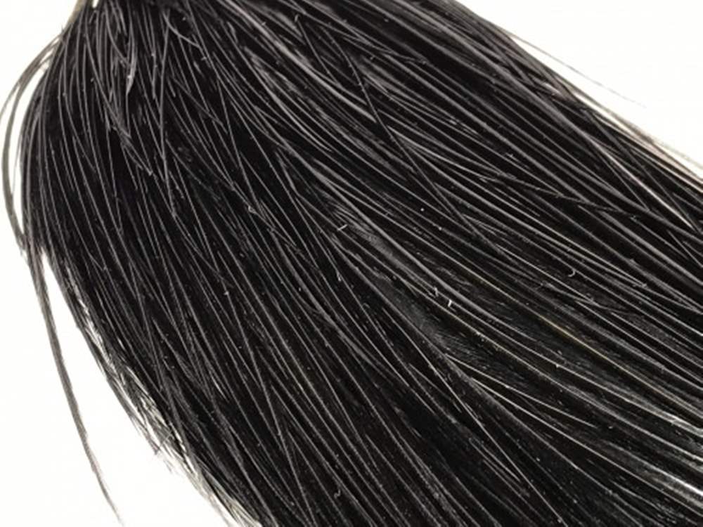 Whiting Dry Fly Cock Feather Neck Bronze Grade Black Fly Tying Materials