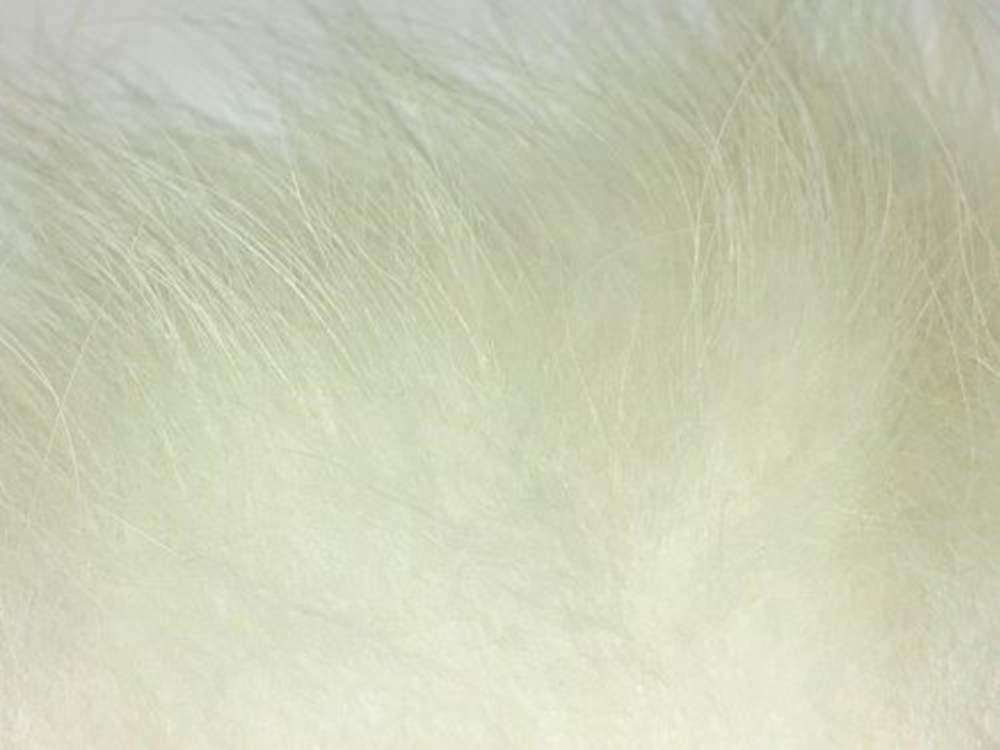 Arctic Legend Arctic Fisherman Finn Raccoon White Fly Tying Materials For Fly Wings