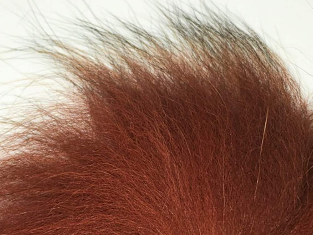 Arctic Legend Arctic Fisherman Mutation Fox (Fiery) Brown Fly Tying Materials For Fly Wings