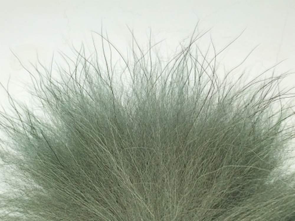 Arctic Legend Arctic Fisherman Mutation Fox Grey Fly Tying Materials For Fly Wings