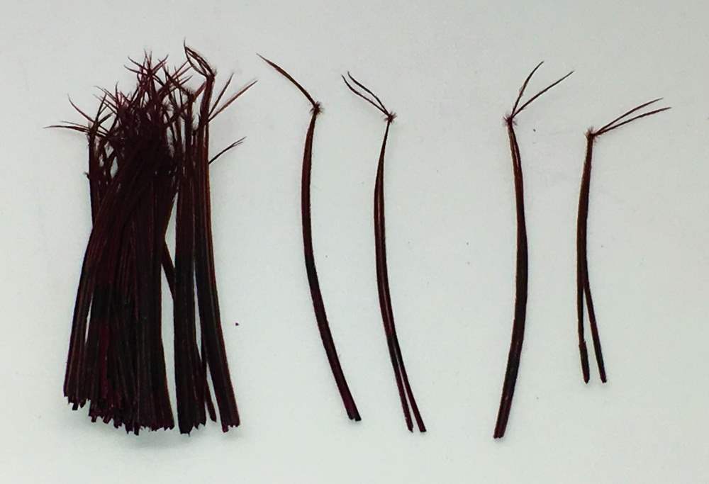 Veniard Cock Feather Pheasant Tails Hopper Legs Claret Fly Tying Materials