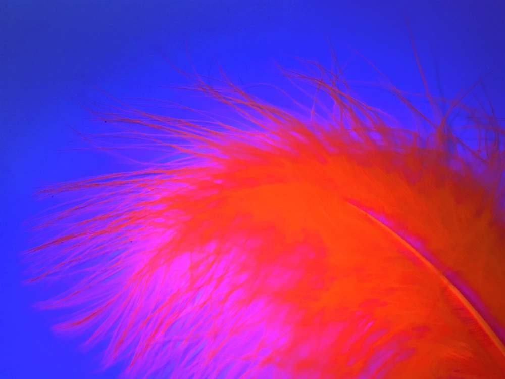 Veniard Turkey Marabou Feathers Fluorescent Orange Fly Tying Materials
