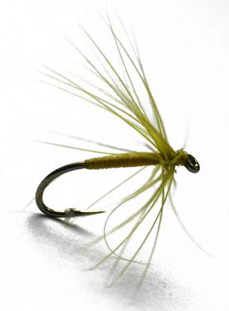 The Essential Fly Olive Bloa Northern Spider Trout Fly Fishing Fly