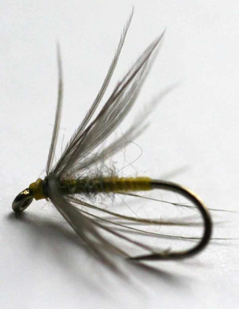 Waterhen Bloa Northern Spider Trout Fly - Heritage Range