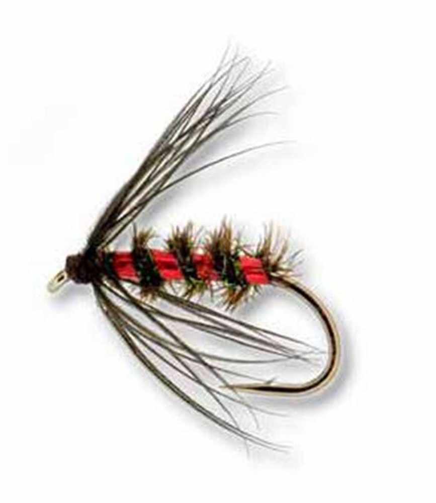 Peacock, Black and Red - Northern Country Trout Fly  - Heritage Range